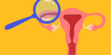 El cuerpo femenino