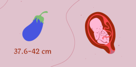 My Body and Health